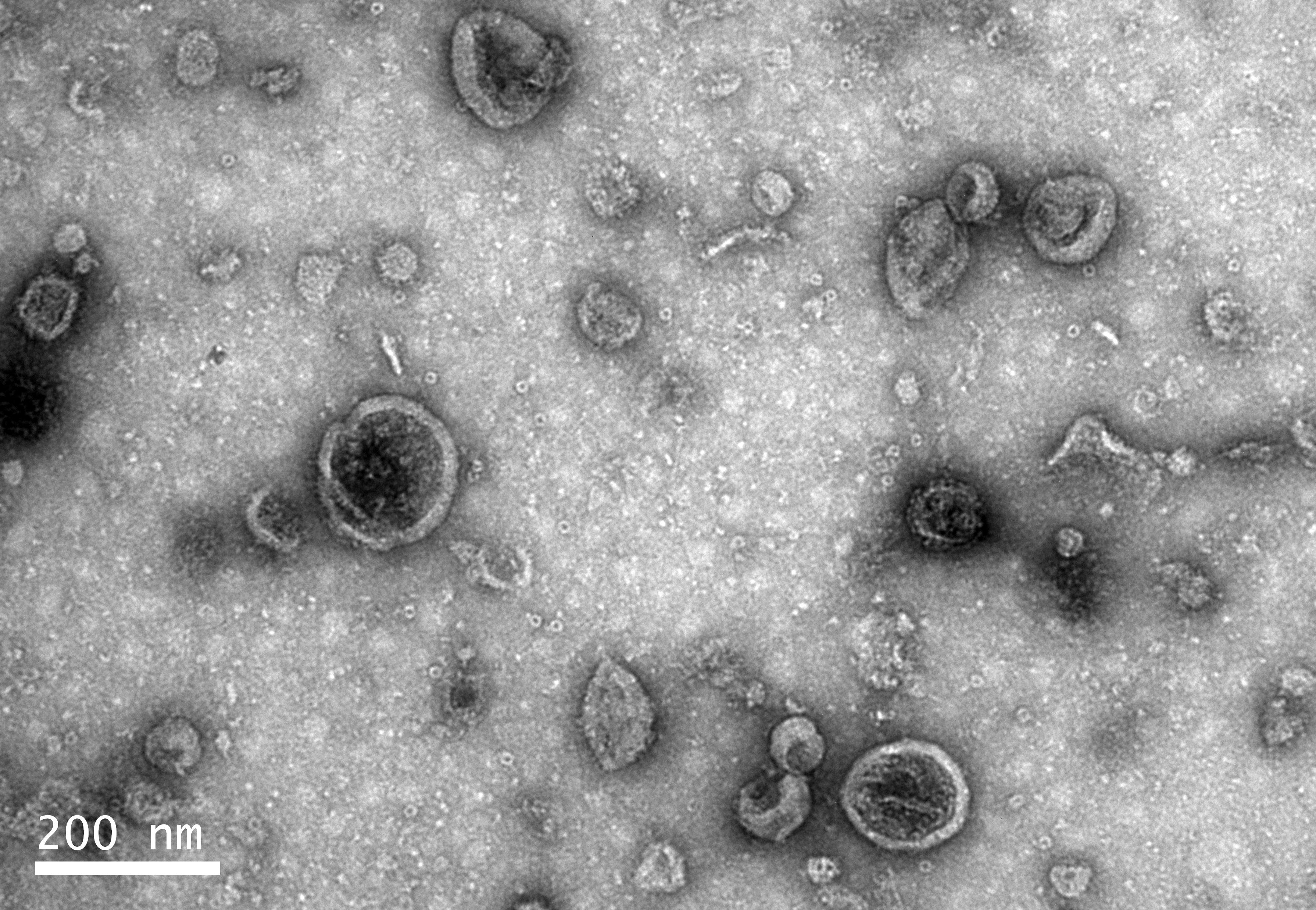 1646974877170061.jpg 1646974877170061.jpg