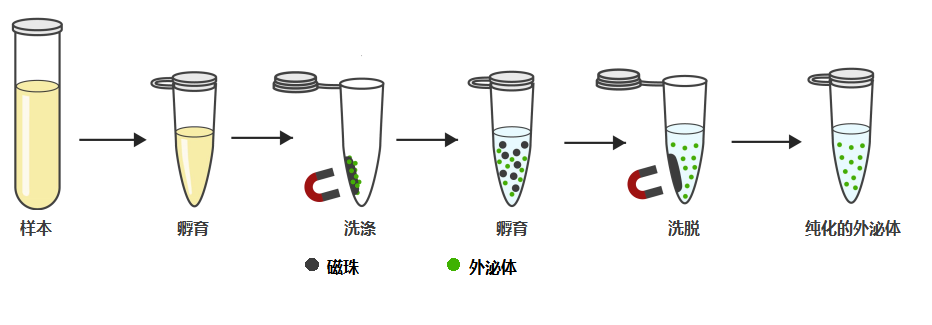 1646974977139220.png 1646974977139220.png