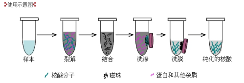 1646975096754088.png 640.png